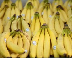 Как и чем обрабатывают бананы и зачем это делают?
